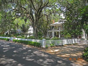 Beautiful live Oaks and homes in the town of "Isle of Hope"