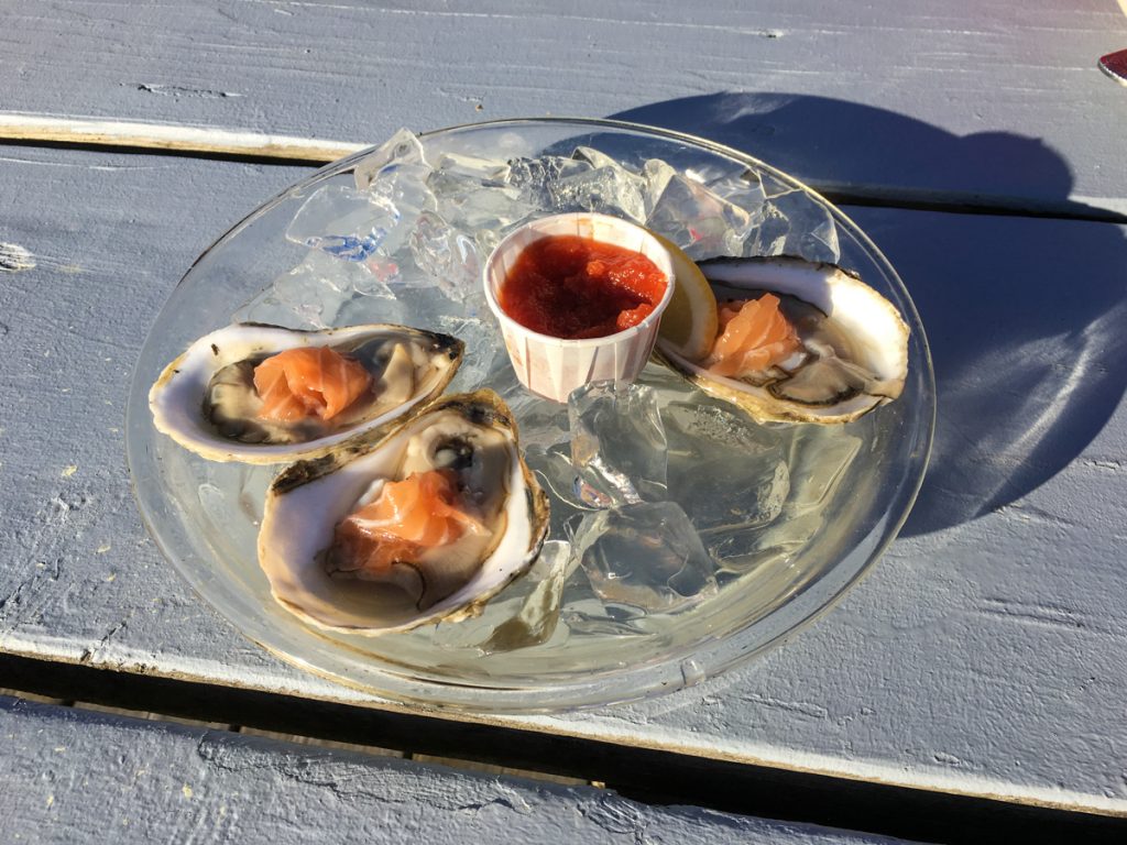 Pemaquid oysters